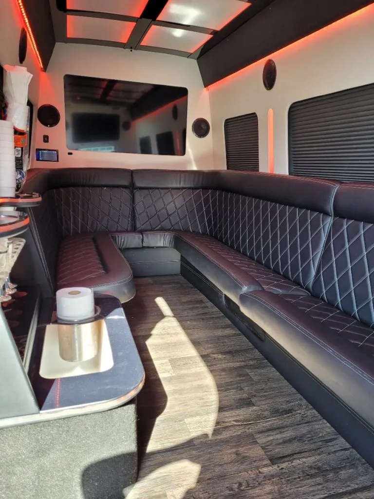 Black 12 Passenger Mercedes Party Bus, photo 5 for party bus rental