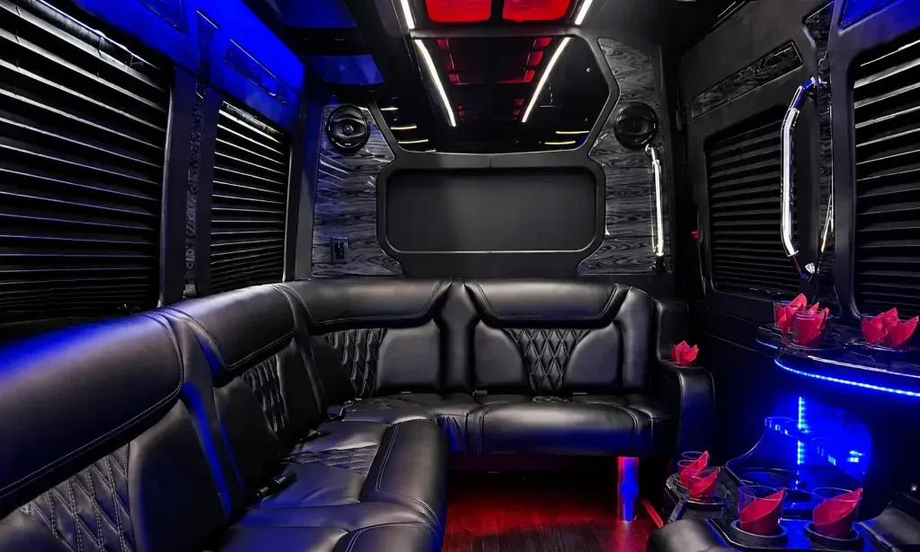 Black 14 Pax Sprinter Party Bus, photo 2 for party bus rental