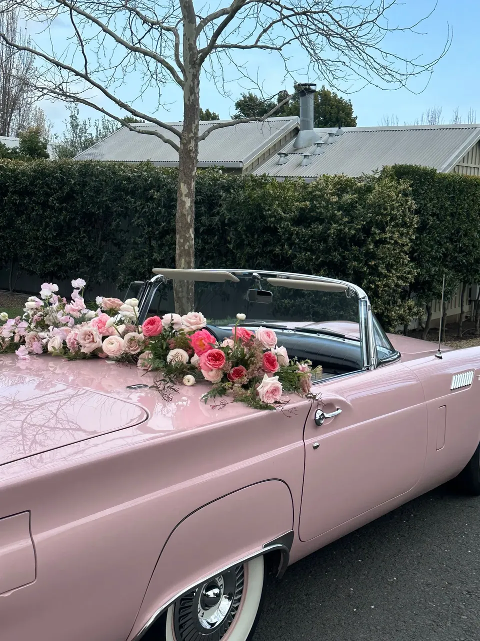 Pink 1957 Ford T-Bird, photo 5 for wedding car rental
