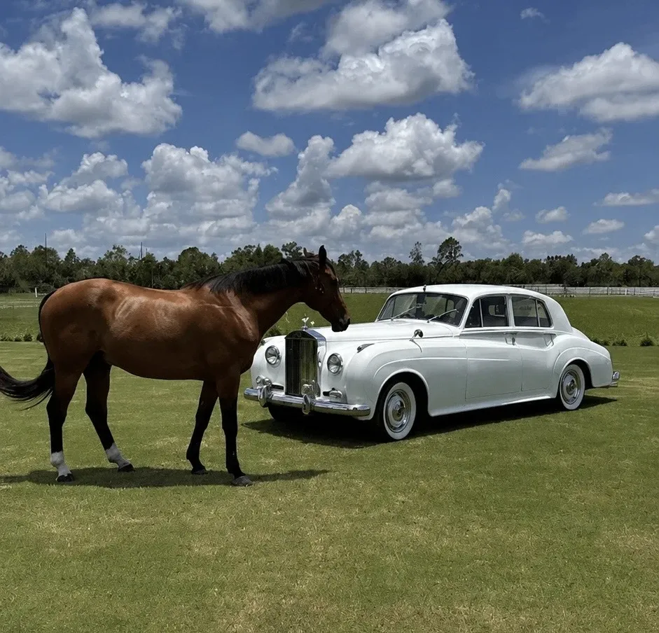 White 1960 Rolls Royce Silver Cloud exterior, photo 3 for wedding car rental