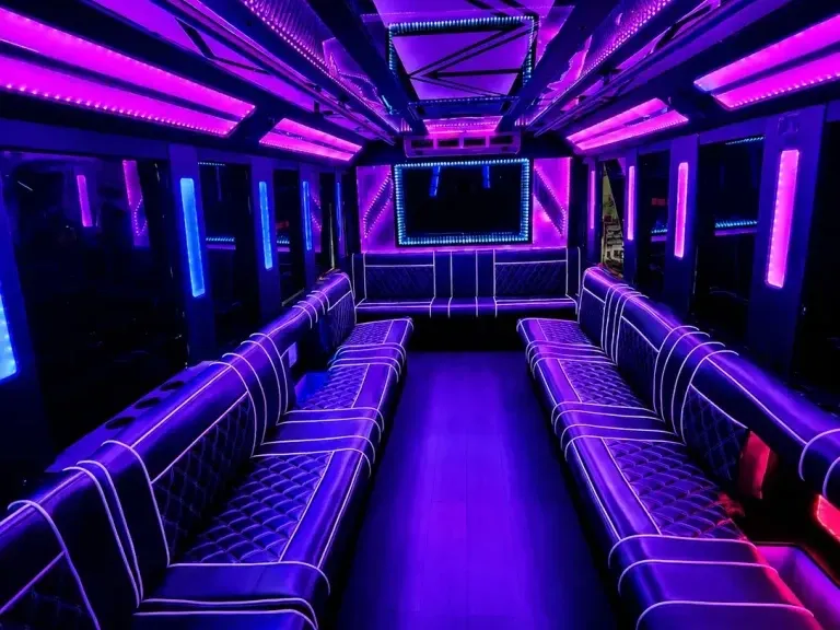 20 Passenger Party Bus, white (2)