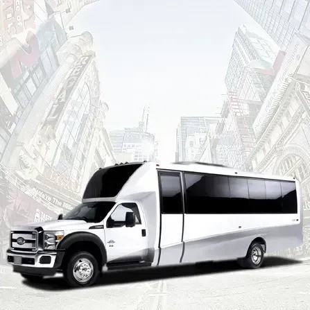 20 Passenger Party Bus 20 Passenger Party Bus – for rent