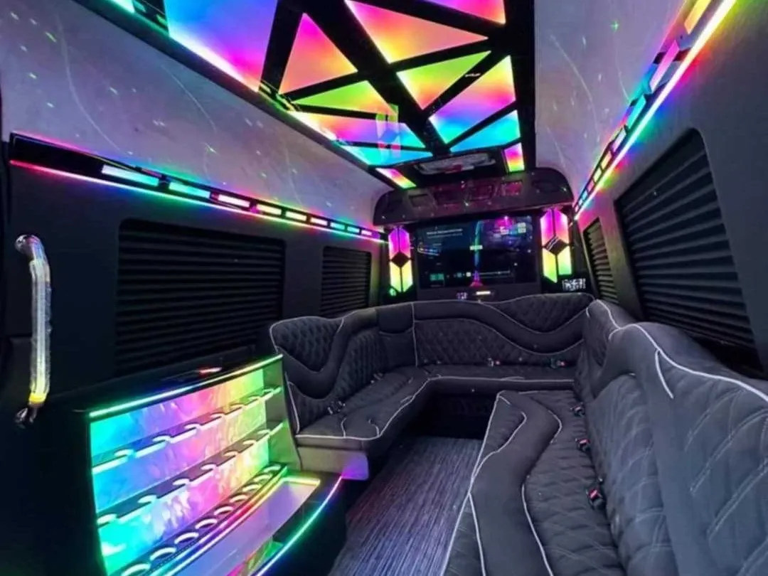 2026 Mercedes-Benz Sprinter Limousine (Sylvester), black (2)