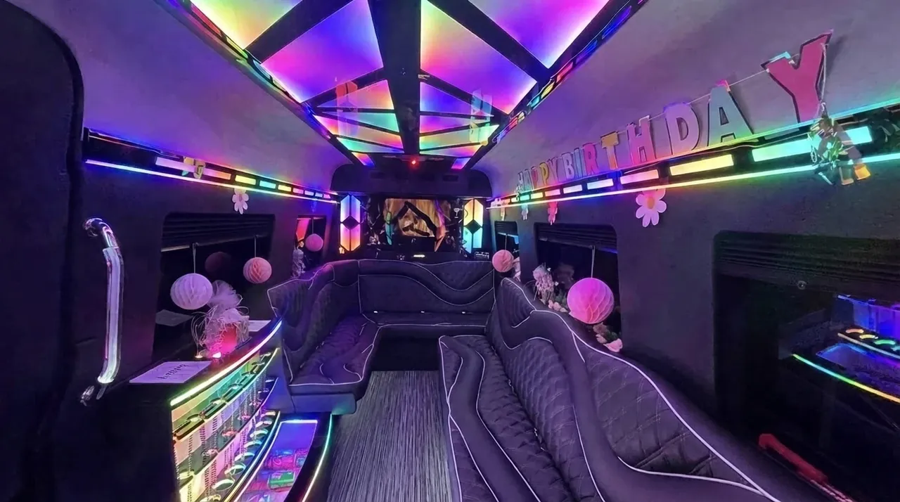 2026 Mercedes-Benz Sprinter Limousine (Sylvester), black (3)