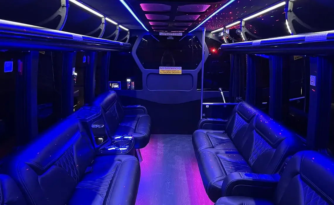24 Passenger Party Bus, photo 2 for party bus rental