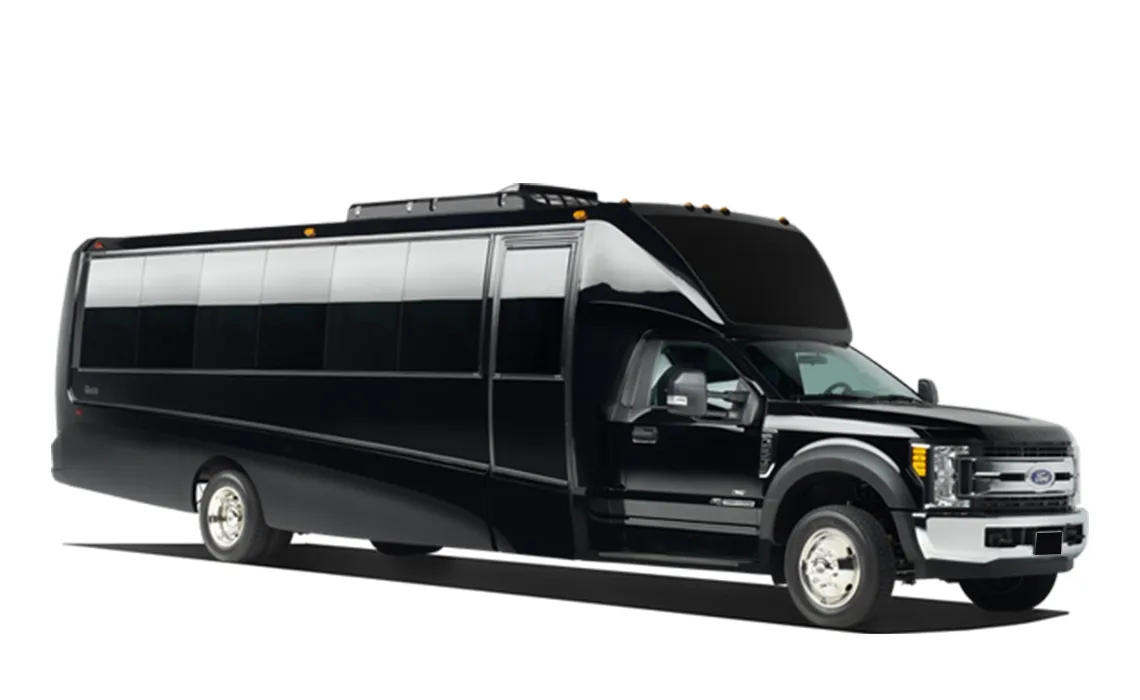 24 Passenger Party Bus 24 Passenger Party Bus for party bus rental