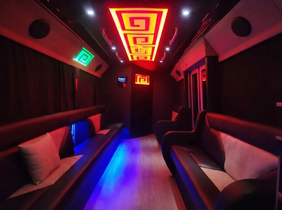 CNG Party Bus, black (2)