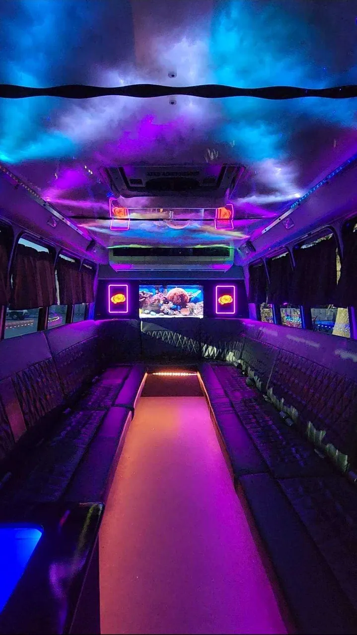 20 Passenger Luxury Party Bus interior with perimeter lounge seating, window shades and LED accent lighting for party bus rental