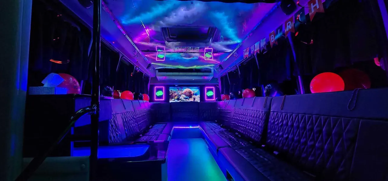 20 Passenger Luxury Party Bus interior with perimeter lounge seating, LED accent lighting and LED ceiling lighting for party bus rental