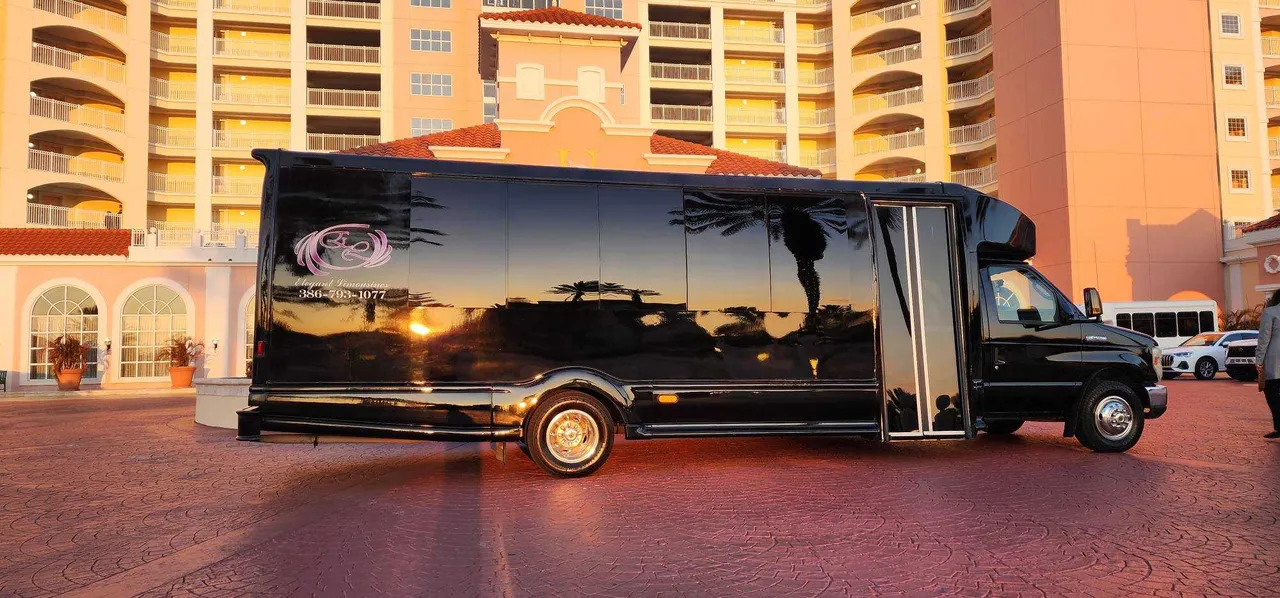 Black 20 Passenger Luxury Party Bus exterior for party bus rental