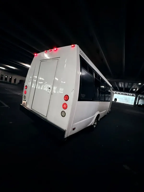 White Ford E-450 Series Party Bus exterior, photo 10 for party bus rental