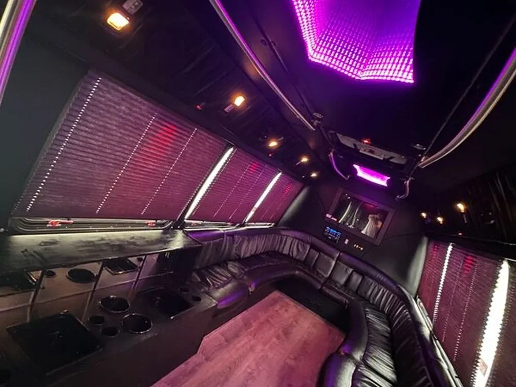 Ford E-450 Series Party Bus, white (6)