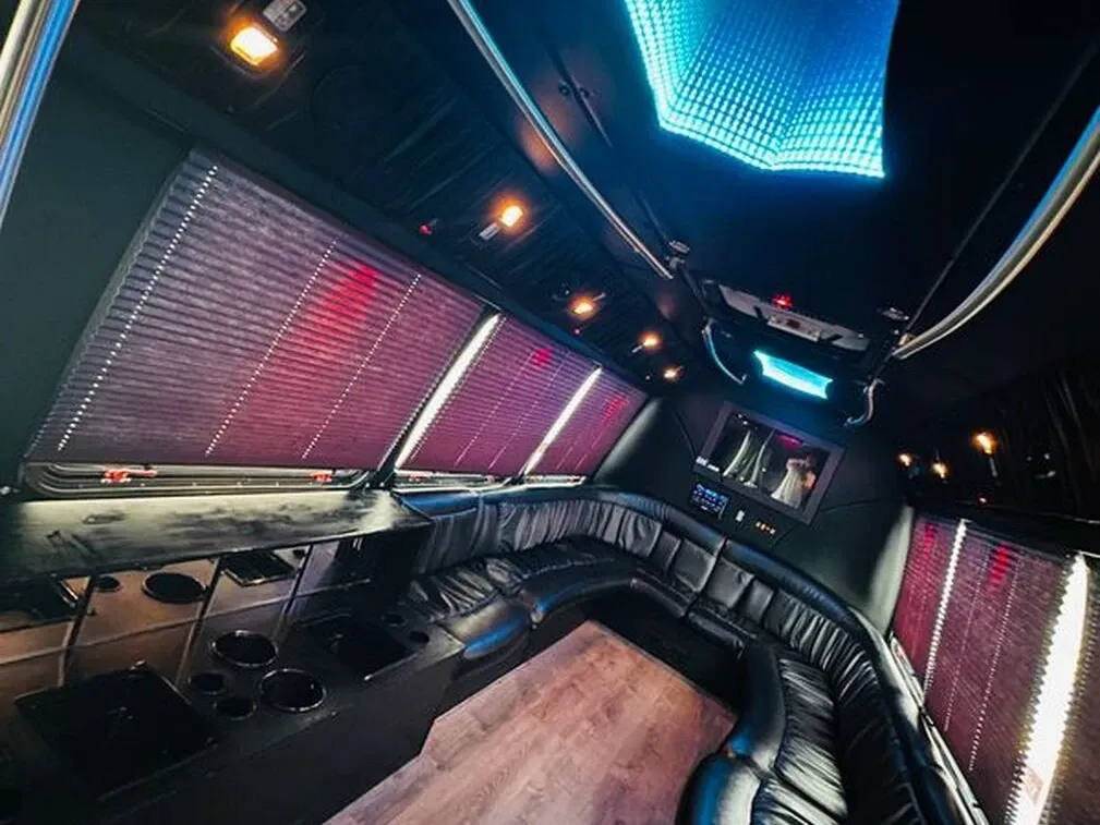 Ford E-450 Series Party Bus, white (7)