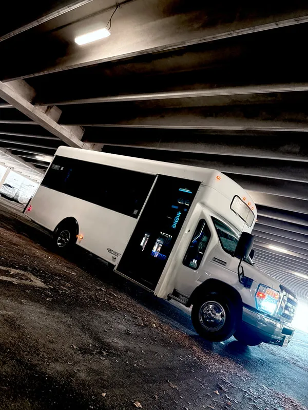 White Ford E-450 Series Party Bus exterior, photo 8 for party bus rental