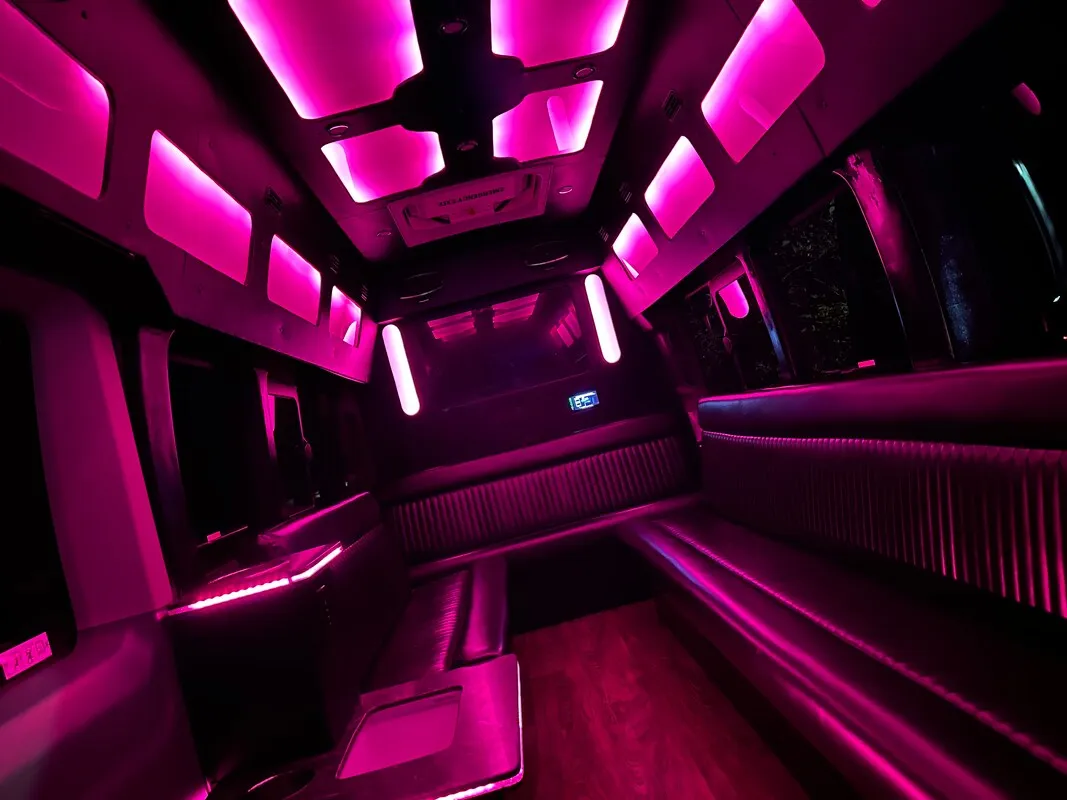 Ford Transit VAN interior with perimeter lounge seating, LED accent lighting and LED ceiling lighting, photo 3 for party bus rental