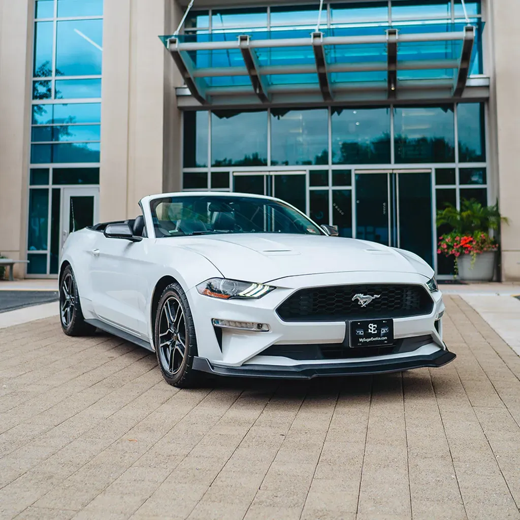 Fully Loaded Mustang Convertible Fully Loaded Mustang Convertible for sports car rental