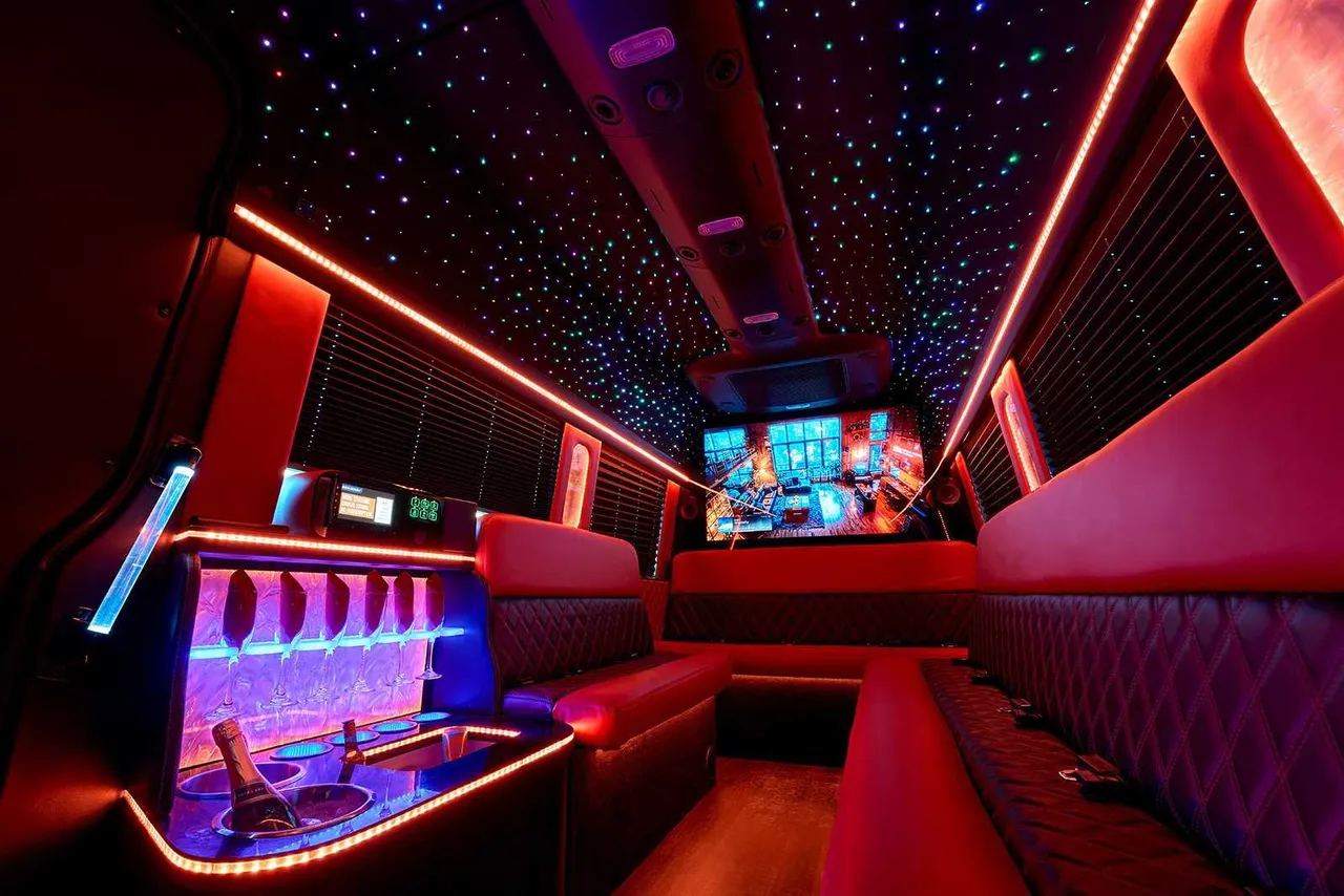 14 Passenger Limo Bus interior with perimeter lounge seating, window shades and LED accent lighting for party bus rental
