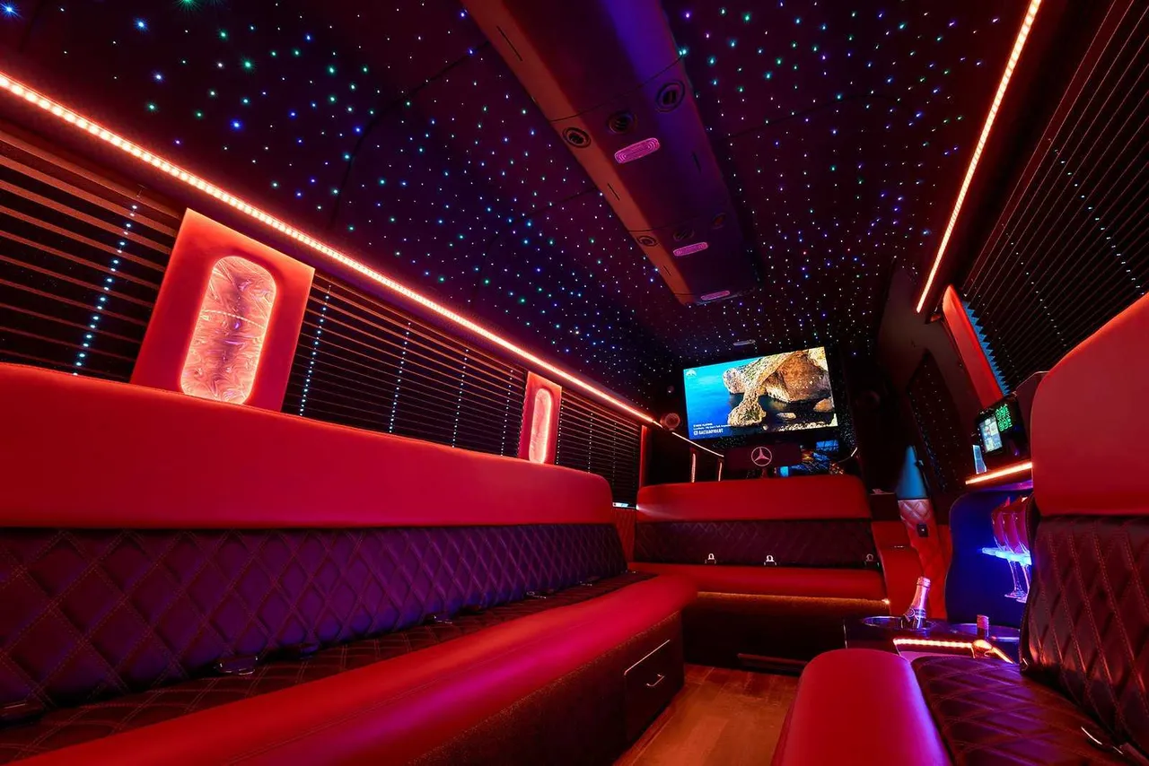 14 Passenger Limo Bus interior with perimeter lounge seating, window shades and LED accent lighting, photo 2 for party bus rental
