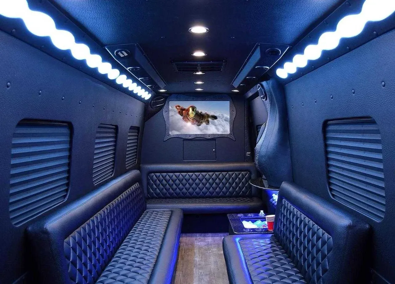 Mercedes-Benz Limousine Coach, black (2)