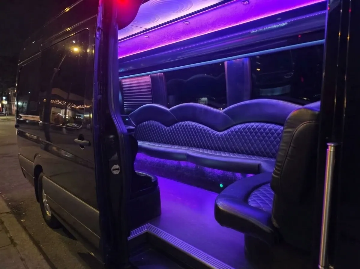 Mercedes-Benz Limousine Sprinter, black (2)