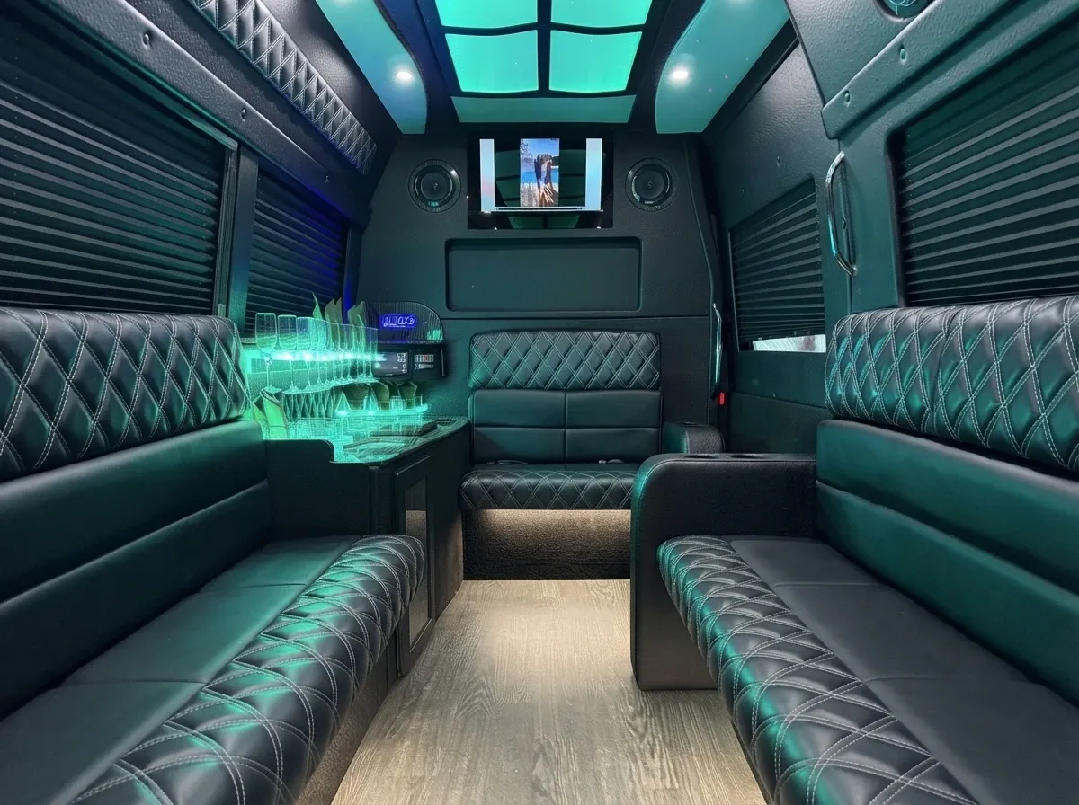 Mercedes-Benz Sprinter Limousine, black (3)