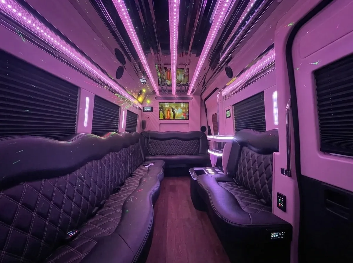 Mercedes-Benz Sprinter Limousine, black (3)