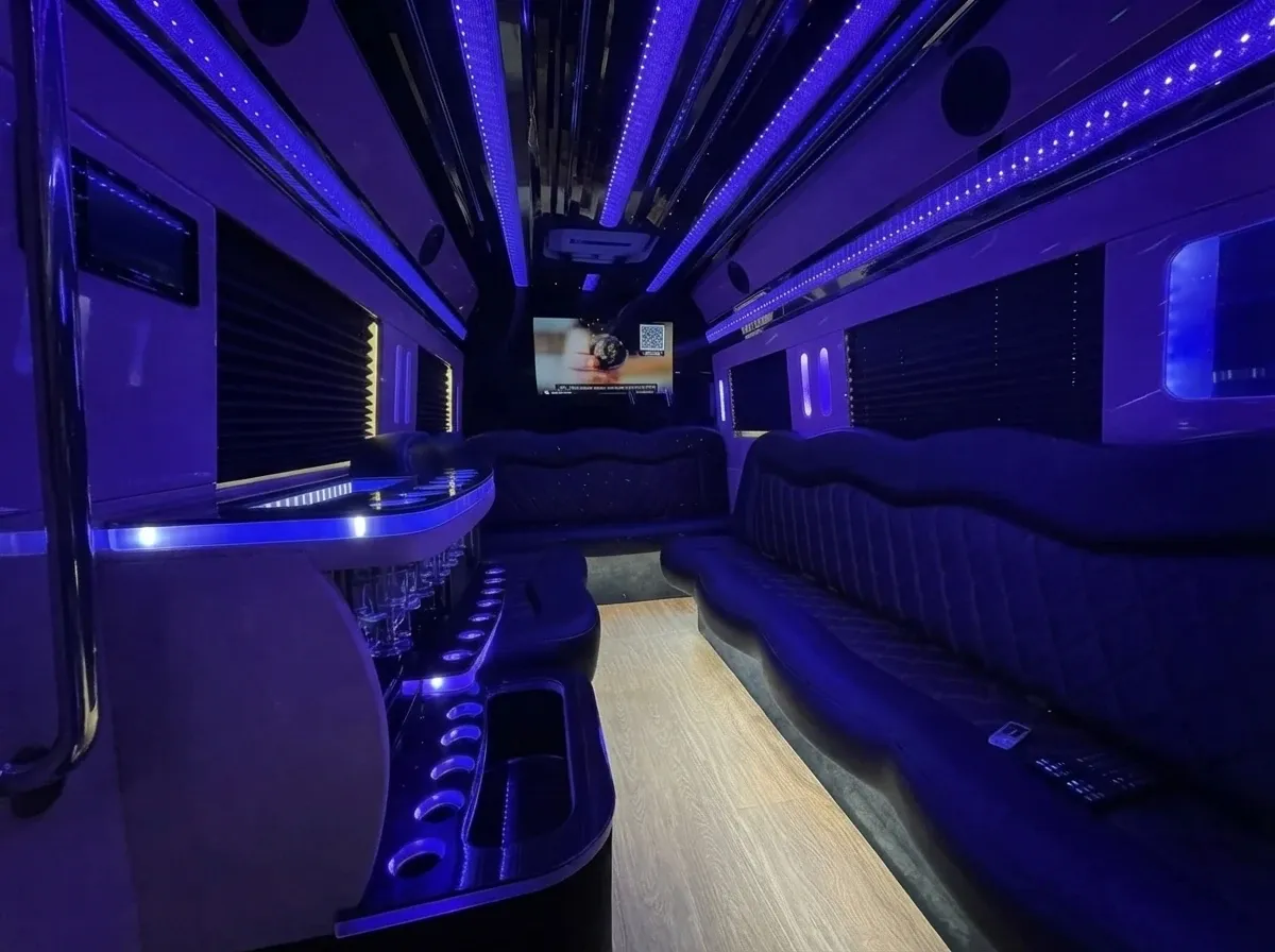 Mercedes-Benz Sprinter Limousine, black (4)