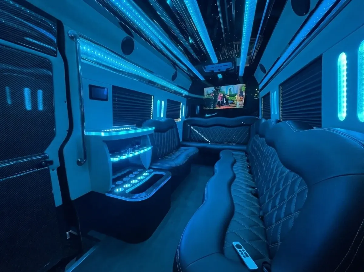 Mercedes-Benz Sprinter Limousine, black (2)
