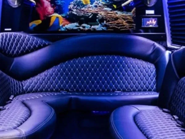 Mercedes-Benz Sprinter Limousine Mercedes-Benz Sprinter Limousine – for rent