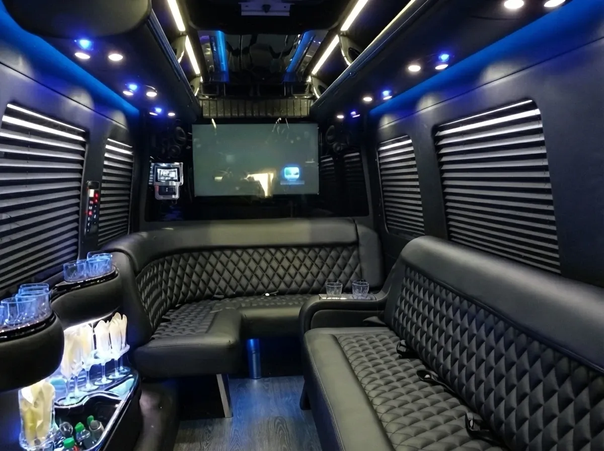 Mercedes-Benz Sprinter Limousine, black (4)