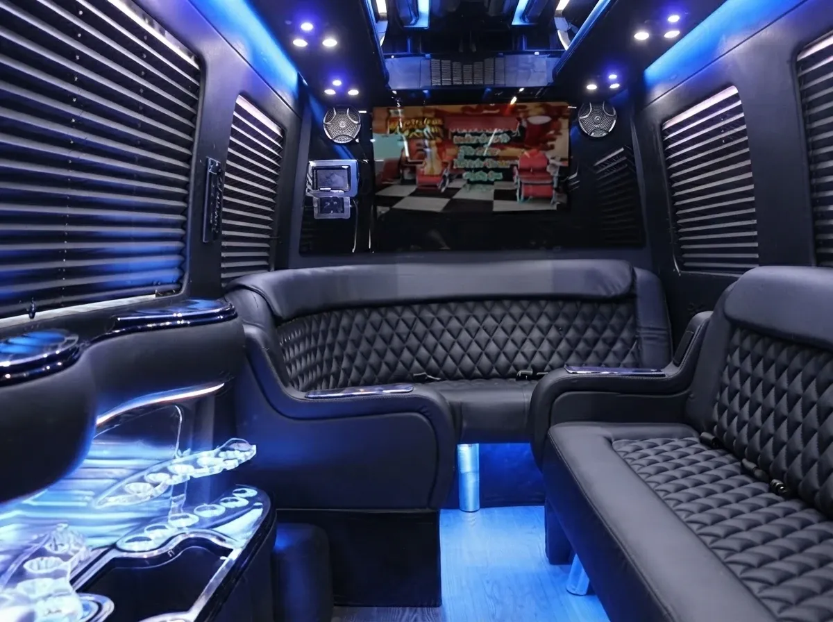Mercedes-Benz Sprinter Limousine, black (3)