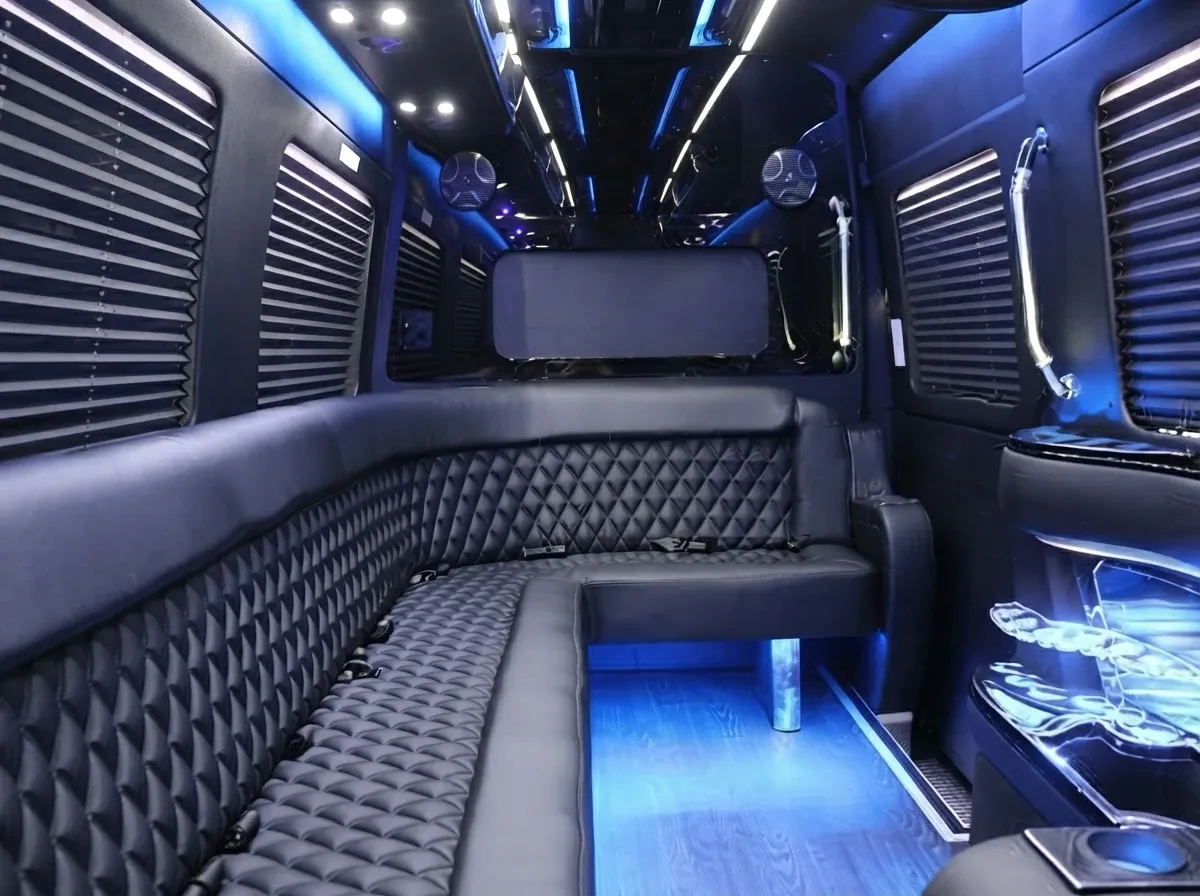 Mercedes-Benz Sprinter Limousine, black (5)
