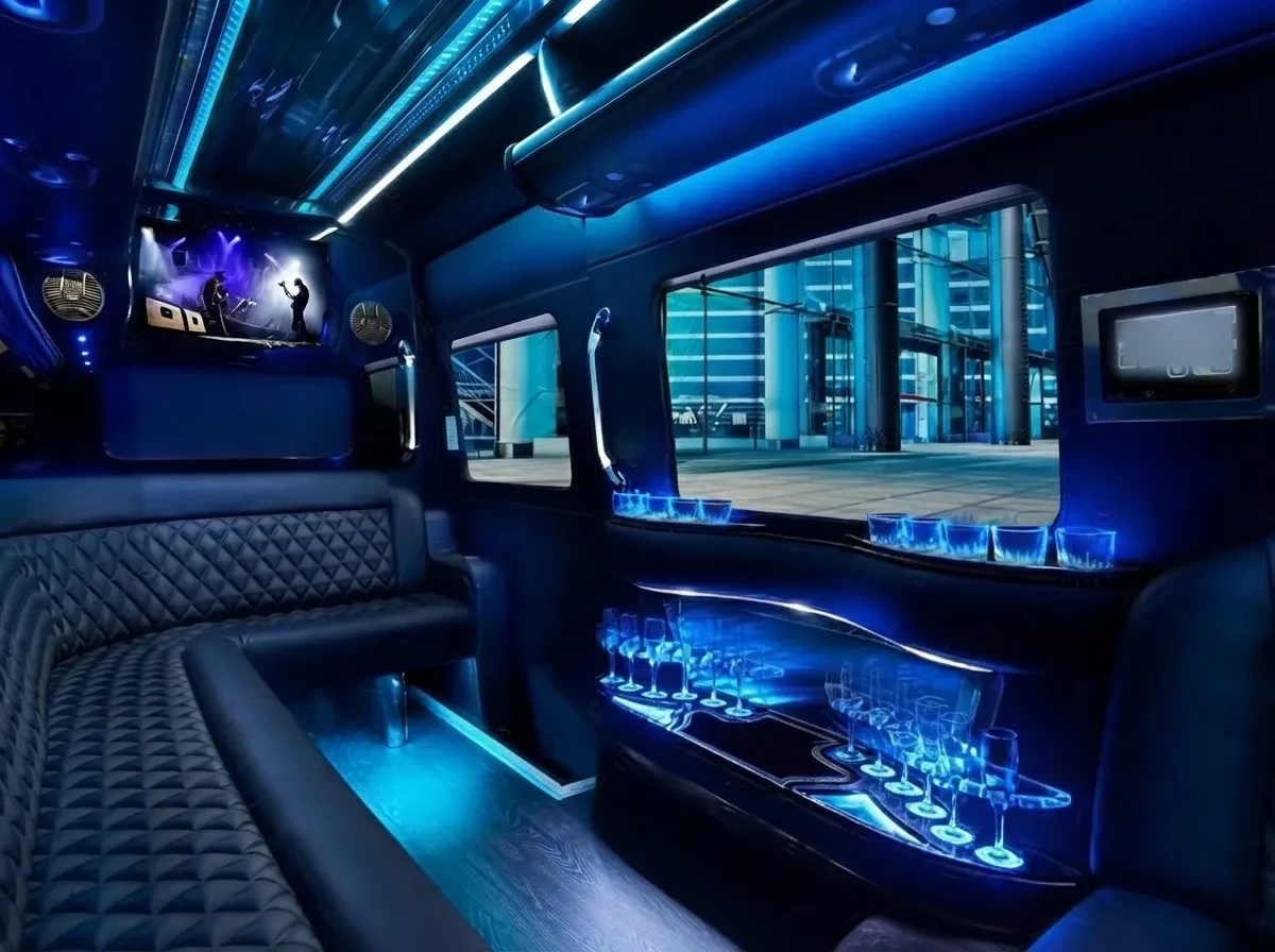 Mercedes-Benz Sprinter Limousine, black (8)