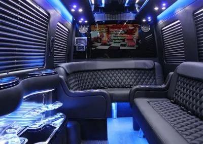Mercedes-Benz Sprinter Limousine interior, photo 2 for limo rental