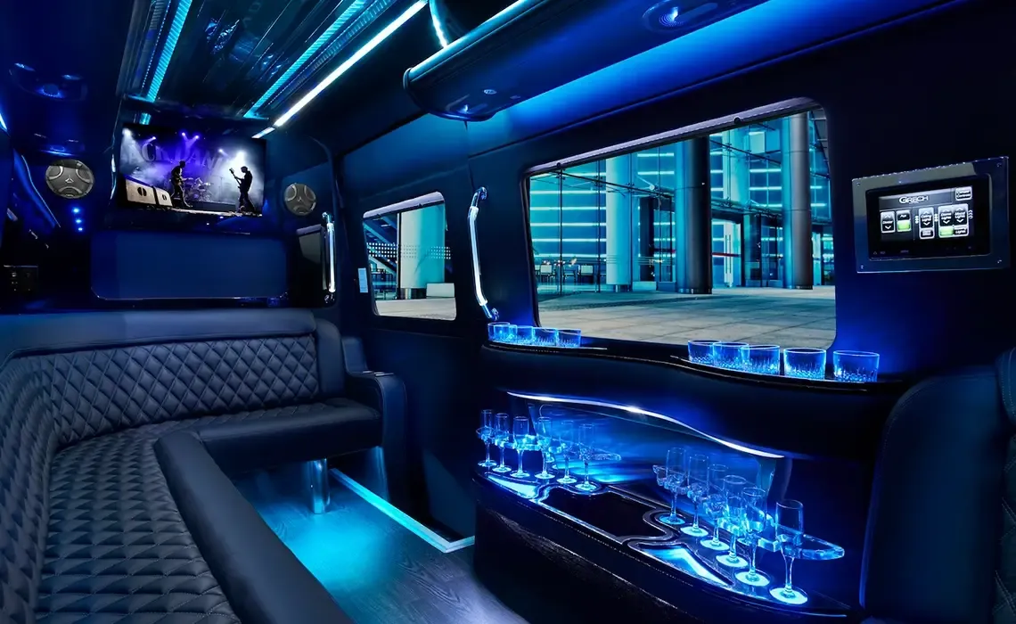 Mercedes-Benz Sprinter Party Bus — 14 Passengers, photo 2 for party bus rental