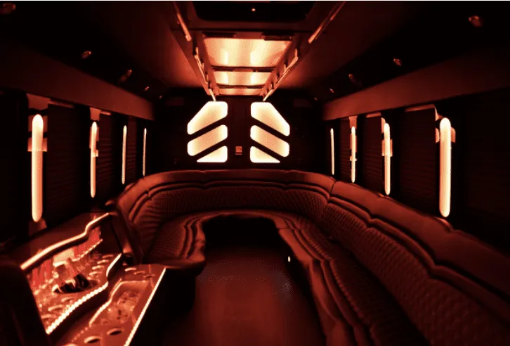 25 Passenger Party Bus interior with perimeter lounge seating and LED accent lighting for party bus rental