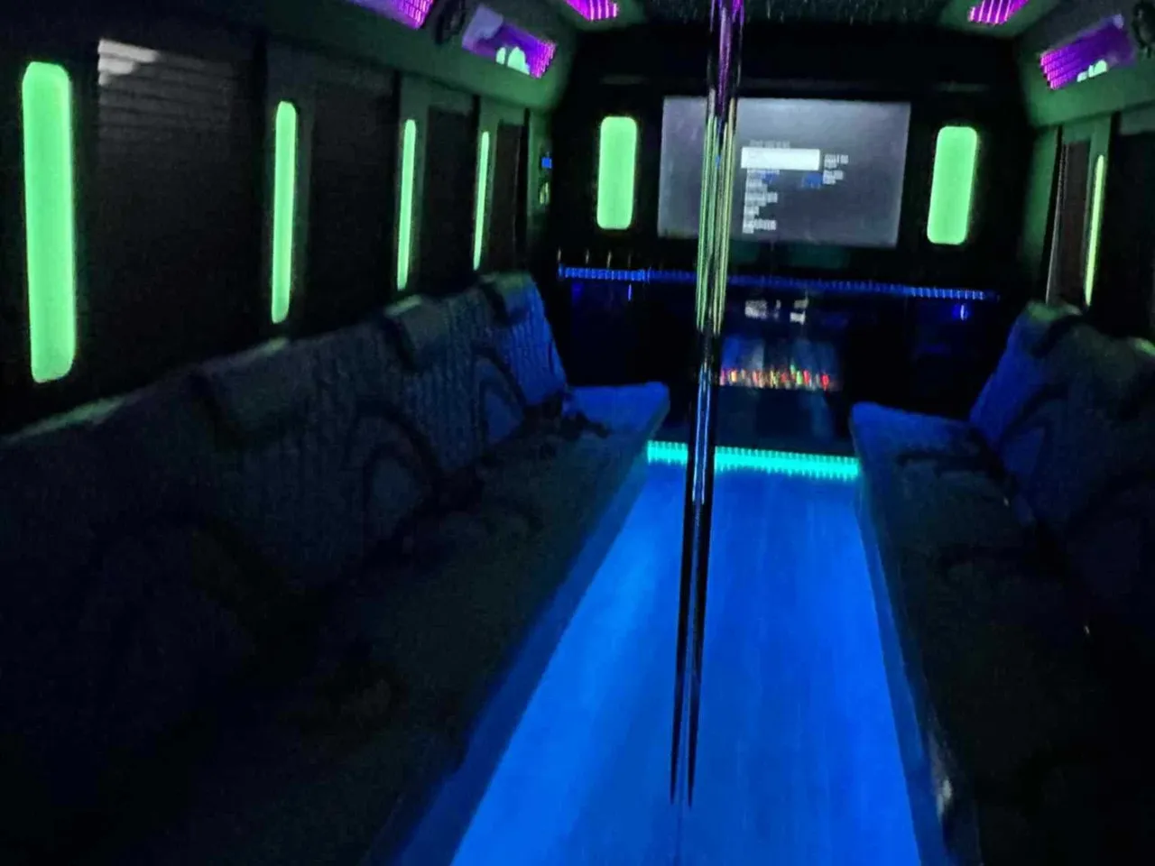 18 Passenger Party Bus, white (2)