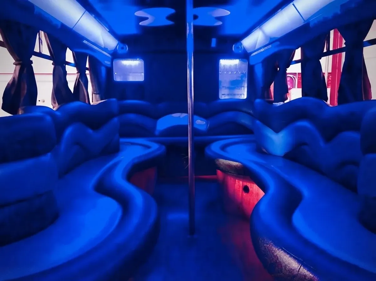 18 Passenger Party Bus, black (2)