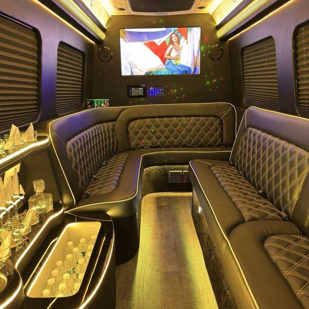 12 Passenger Party Limo Sprinter interior with sofa-style seating, window shades and LED accent lighting for party bus rental