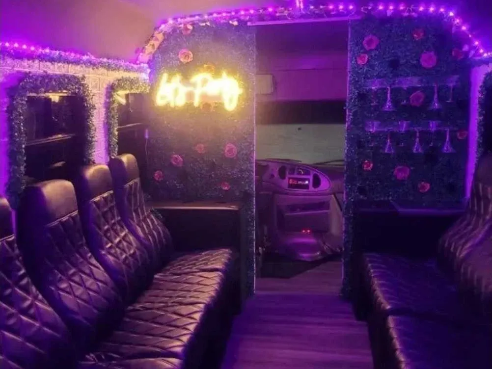 Rose Party Bus, pink (3)